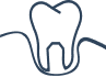 Periodontal tooth and gums